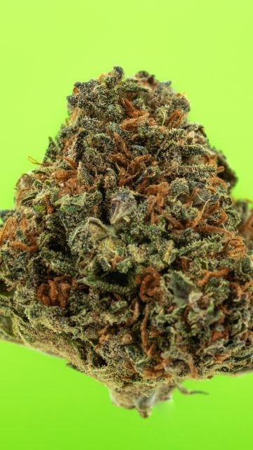 Kurz-Review: CBD-Blüten “Krazy Strawberry”