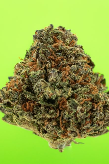 Kurz-Review: CBD-Blüten “Krazy Strawberry”