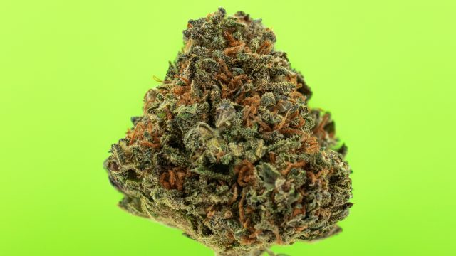 Kurz-Review: CBD-Blüten “Krazy Strawberry”