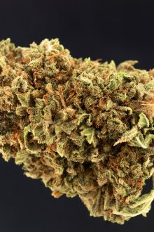 Review: CBD-Blüten “Redwood Kush”