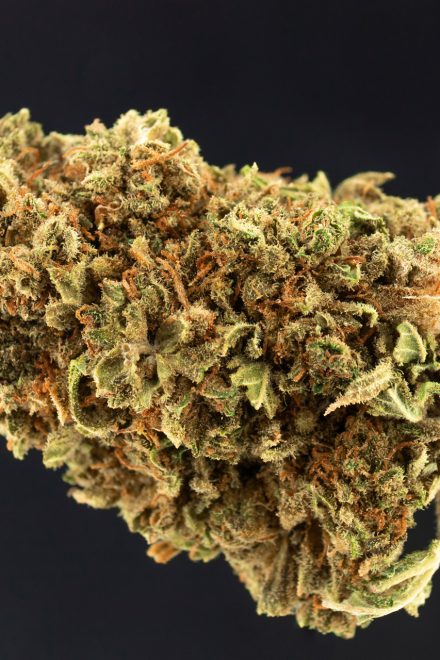 Review: CBD-Blüten “Redwood Kush”