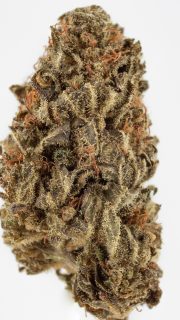 Review: CBD-Blüten “Blue Dream”