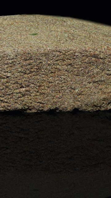 Review: “High Spirit Pollinat”