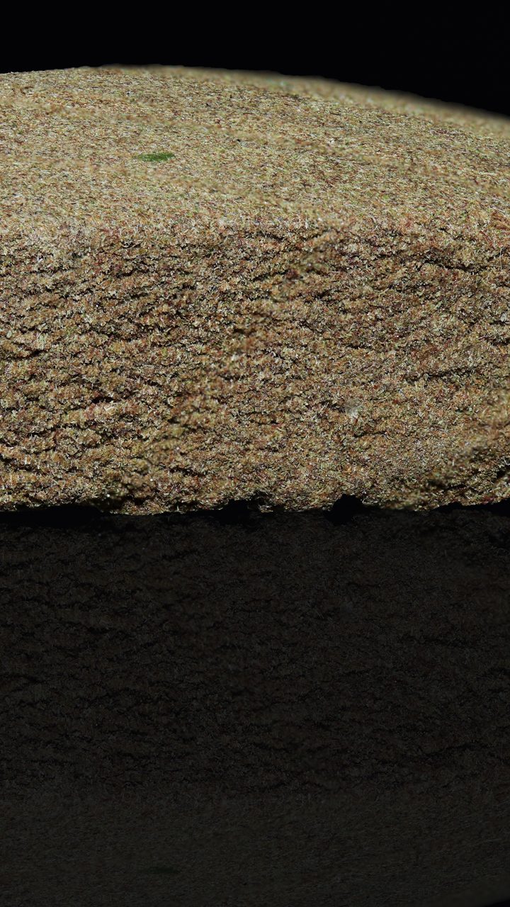 Review: “High Spirit Pollinat”